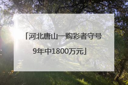 河北唐山一购彩者守号9年中1800万元