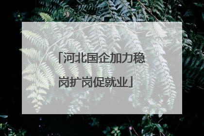 河北国企加力稳岗扩岗促就业