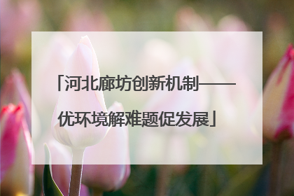 河北廊坊创新机制——优环境解难题促发展