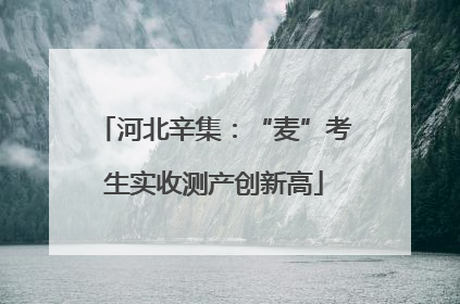 河北辛集：“麦”考生实收测产创新高