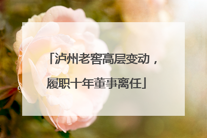 泸州老窖高层变动，履职十年董事离任