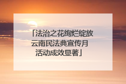 法治之花绚烂绽放 云南民法典宣传月活动成效显著