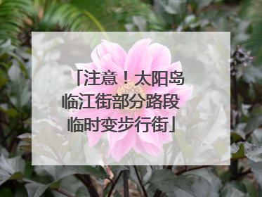 注意！太阳岛临江街部分路段临时变步行街