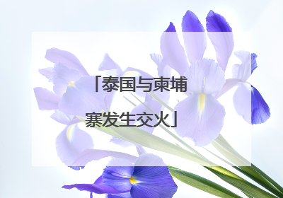 泰国与柬埔寨发生交火