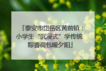 泰安市岱岳区黄前镇：小学生“沉浸式”学传统 粽香荷包暖夕阳