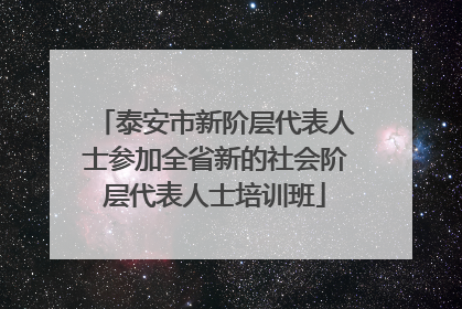 泰安市新阶层代表人士参加全省新的社会阶层代表人士培训班