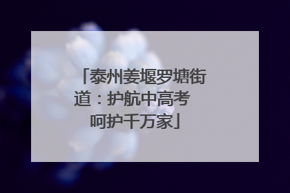 泰州姜堰罗塘街道：护航中高考 呵护千万家