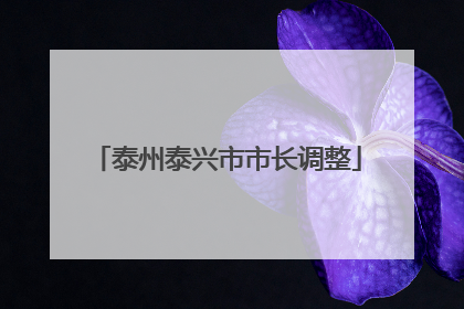 泰州泰兴市市长调整