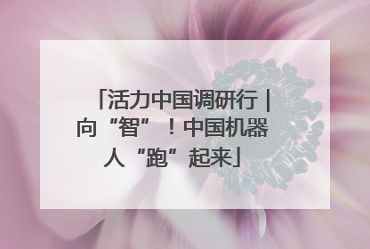 活力中国调研行｜向“智”！中国机器人“跑”起来