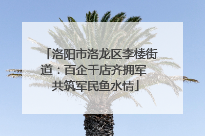 洛阳市洛龙区李楼街道：百企千店齐拥军 共筑军民鱼水情