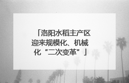洛阳水稻主产区迎来规模化、机械化“二次变革”