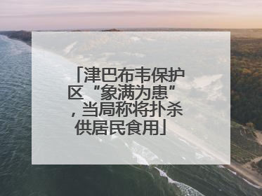 津巴布韦保护区“象满为患”，当局称将扑杀供居民食用