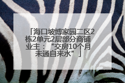海口坡博家园二区2栋2单元2层部分商铺业主：“交房10个月未通自来水”