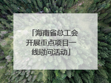 海南省总工会开展重点项目一线慰问活动