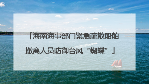 海南海事部门紧急疏散船舶撤离人员防御台风“蝴蝶”