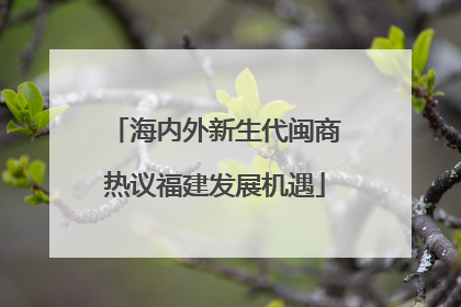 海内外新生代闽商热议福建发展机遇