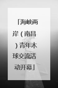 海峡两岸（南昌）青年木球交流活动开幕
