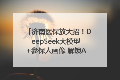 济南医保放大招！DeepSeek大模型+参保人画像 解锁AI医保管家新体验