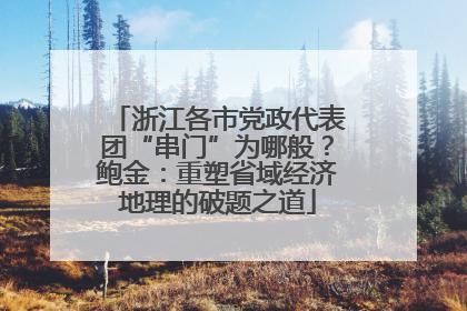 浙江各市党政代表团“串门”为哪般？鲍金：重塑省域经济地理的破题之道
