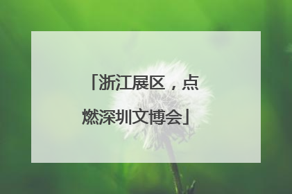 浙江展区，点燃深圳文博会