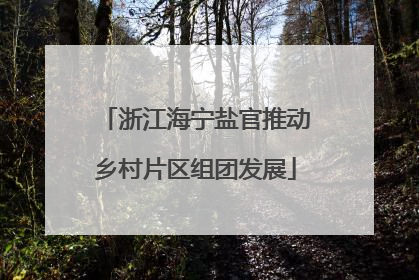 浙江海宁盐官推动乡村片区组团发展