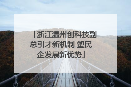 浙江温州创科技副总引才新机制 塑民企发展新优势