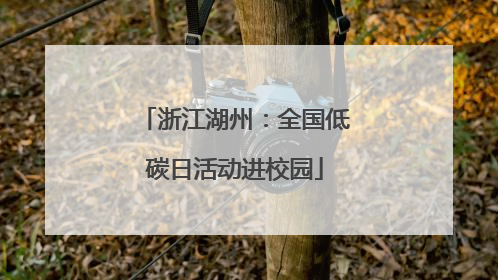 浙江湖州：全国低碳日活动进校园