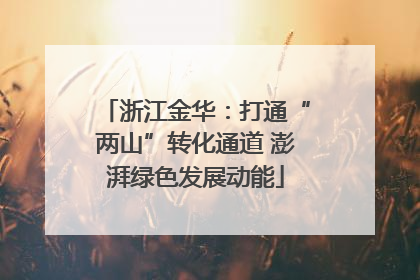 浙江金华：打通“两山”转化通道 澎湃绿色发展动能