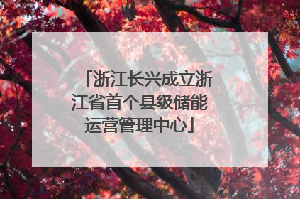 浙江长兴成立浙江省首个县级储能运营管理中心