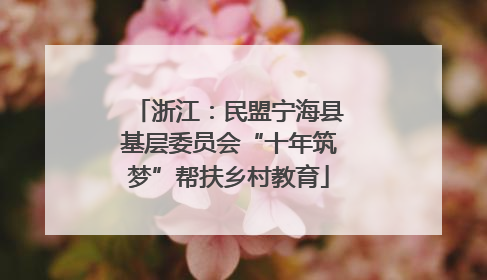 浙江：民盟宁海县基层委员会“十年筑梦”帮扶乡村教育