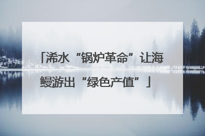 浠水“锅炉革命”让海鳗游出“绿色产值”