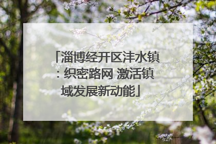 淄博经开区沣水镇：织密路网 激活镇域发展新动能