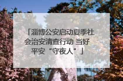 淄博公安启动夏季社会治安清查行动 当好平安“守夜人”