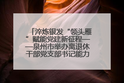 淬炼银发“领头雁”赋能党建新征程——泉州市举办离退休干部党支部书记能力建设专题培训