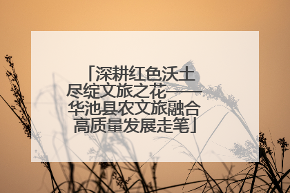 深耕红色沃土 尽绽文旅之花——华池县农文旅融合高质量发展走笔