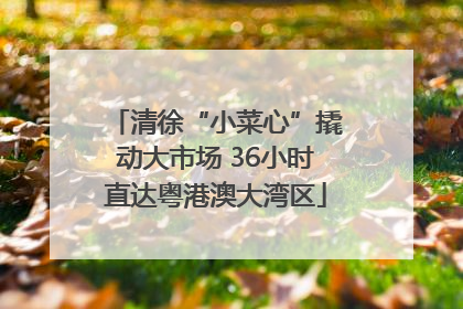 清徐“小菜心”撬动大市场 36小时直达粤港澳大湾区