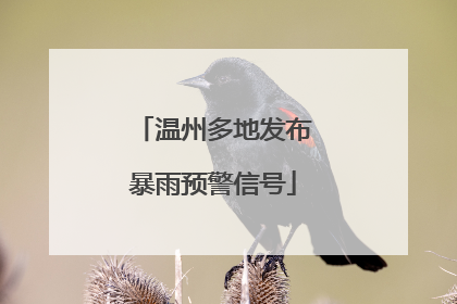 温州多地发布暴雨预警信号