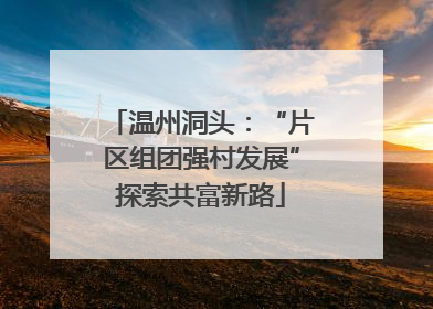 温州洞头：“片区组团强村发展”探索共富新路