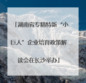 湖南省专精特新“小巨人”企业培育政策解读会在长沙举办