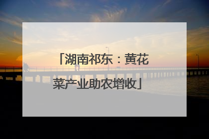 湖南祁东：黄花菜产业助农增收