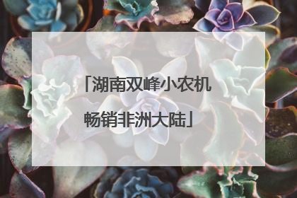 湖南双峰小农机畅销非洲大陆