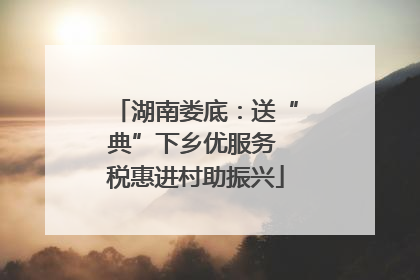 湖南娄底：送“典”下乡优服务 税惠进村助振兴