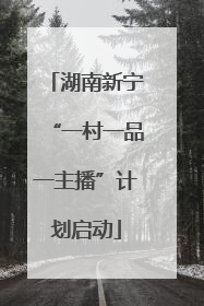 湖南新宁“一村一品一主播”计划启动