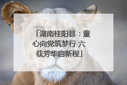 湖南桂阳县：童心向党筑梦行 六载芳华启新程