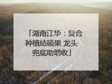 湖南江华：复合种植结硕果 龙头兜底助增收