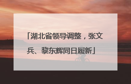 湖北省领导调整，张文兵、黎东辉同日履新