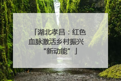 湖北孝昌：红色血脉激活乡村振兴“新动能”