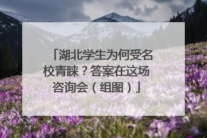 湖北学生为何受名校青睐？答案在这场咨询会（组图）