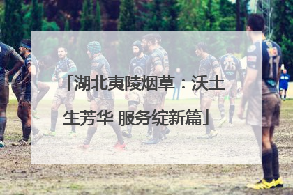 湖北夷陵烟草：沃土生芳华 服务绽新篇