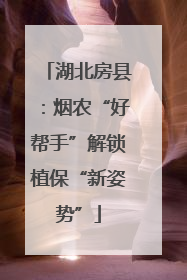 湖北房县：烟农“好帮手”解锁植保“新姿势”